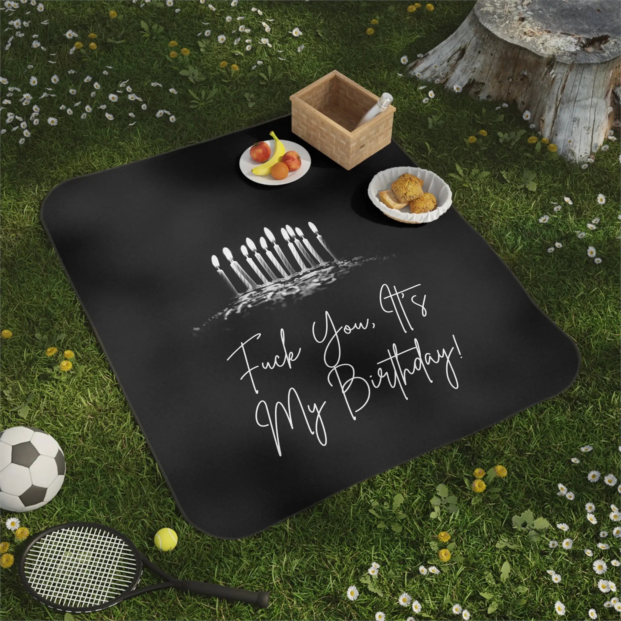 Fuck You It’s My Birthday! | Mix Match Fun-Flirty Lovers’ Water-Resistant Blankets