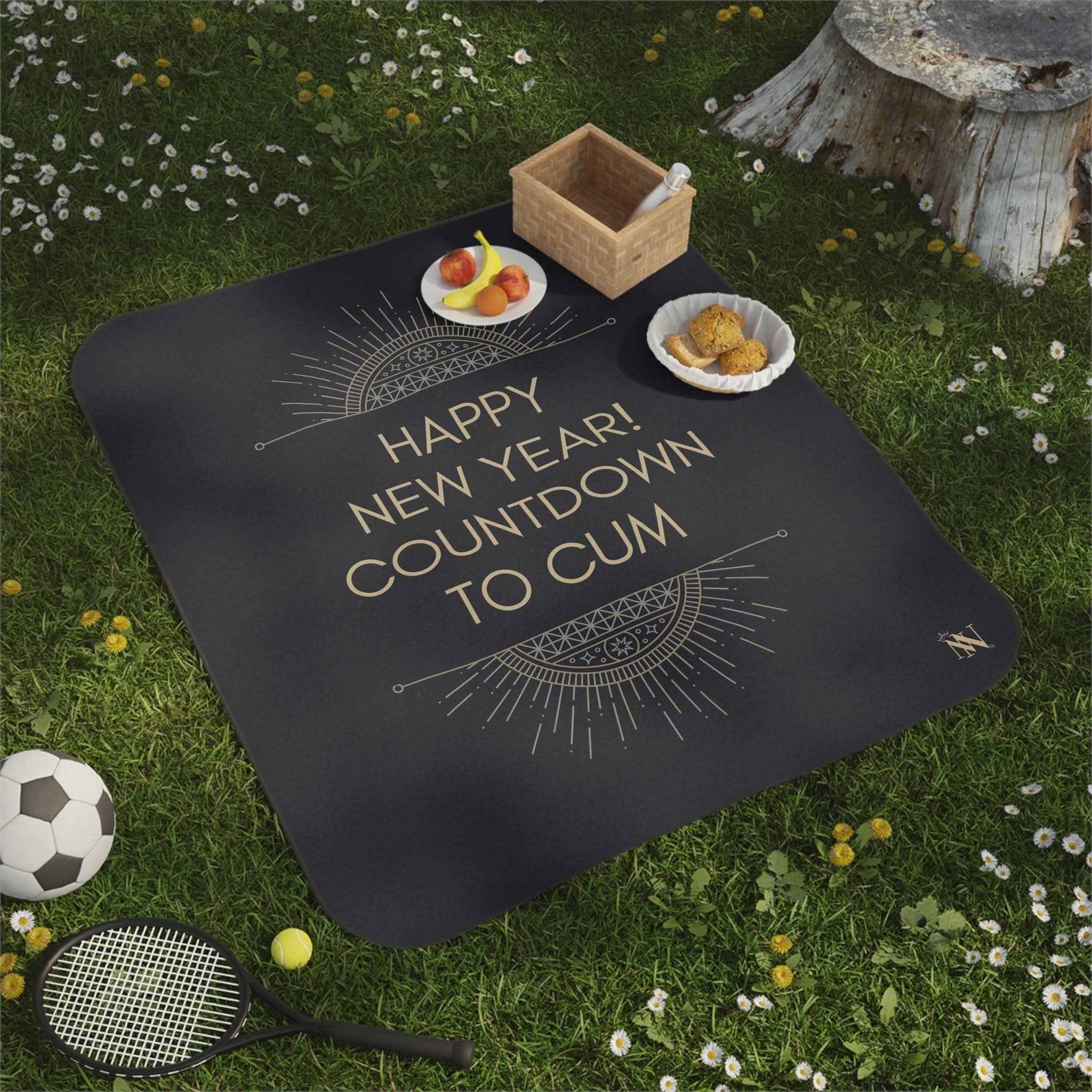Happy New Year! Countdown to Cum | Mix Match Fun-Flirty Lovers’ Water-Resistant Blankets