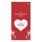Happy Valentine’s Day Cum Here | Mix & Match Naughty XL Fun-Flirty Lovers’ Towels