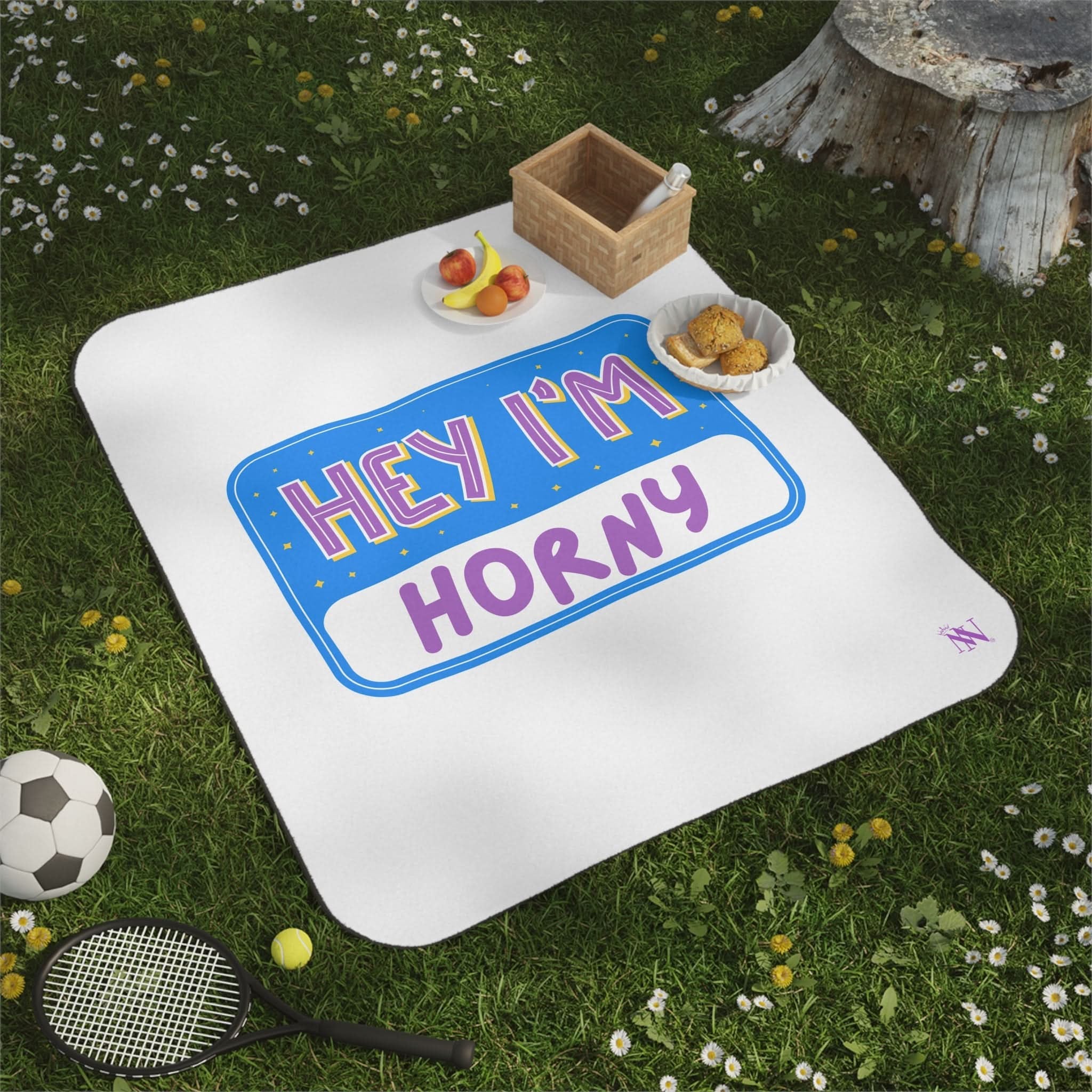 Hey I’m Horny | Mix Match Fun-Flirty Lovers’ Water-Resistant Blankets