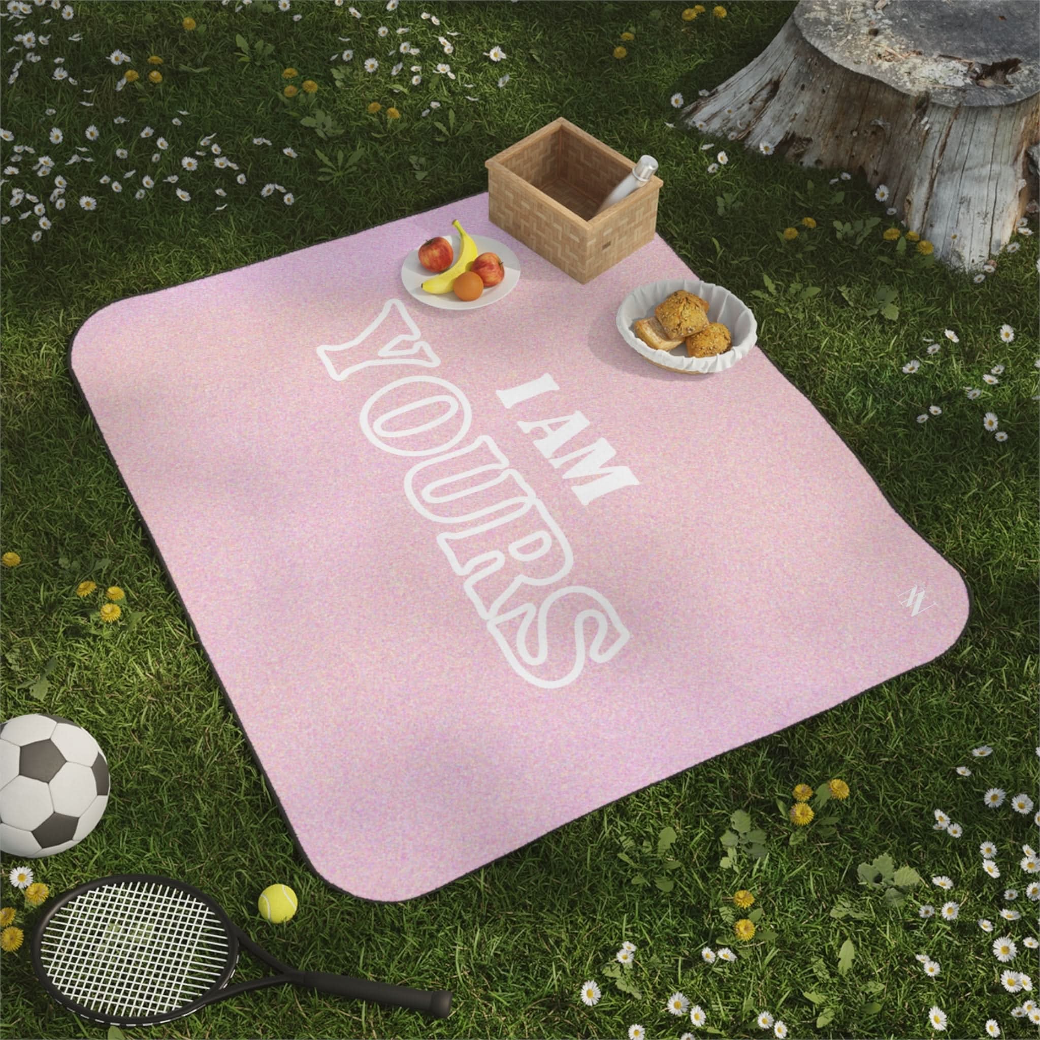 I Am Yours | Mix Match Fun-Flirty Lovers’ Water-Resistant Blankets