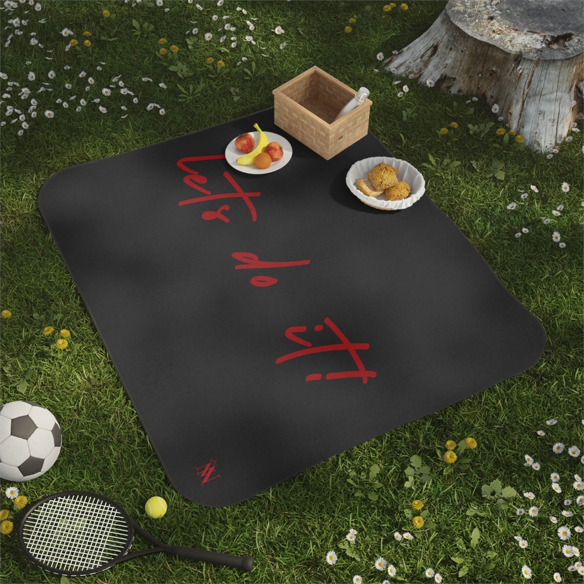 Let’s Do It! | Mix Match Fun-Flirty Lovers’ Water-Resistant Blankets