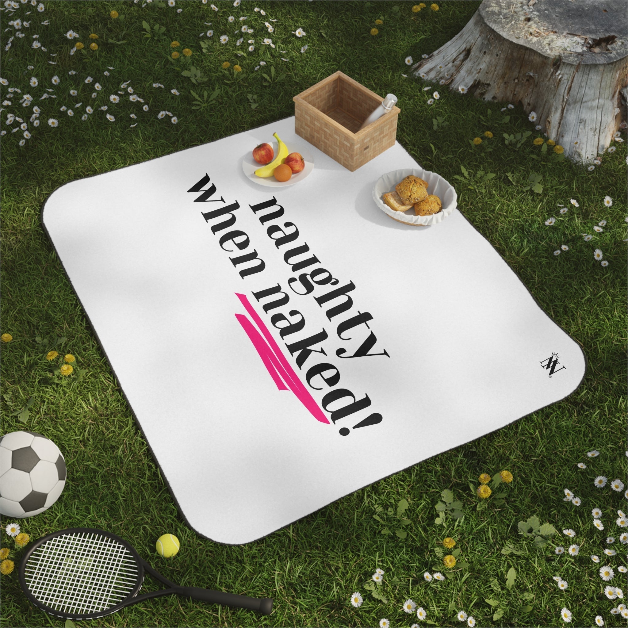 Naughty When Naked! | Mix Match Fun-Flirty Lovers’ Water-Resistant Blankets