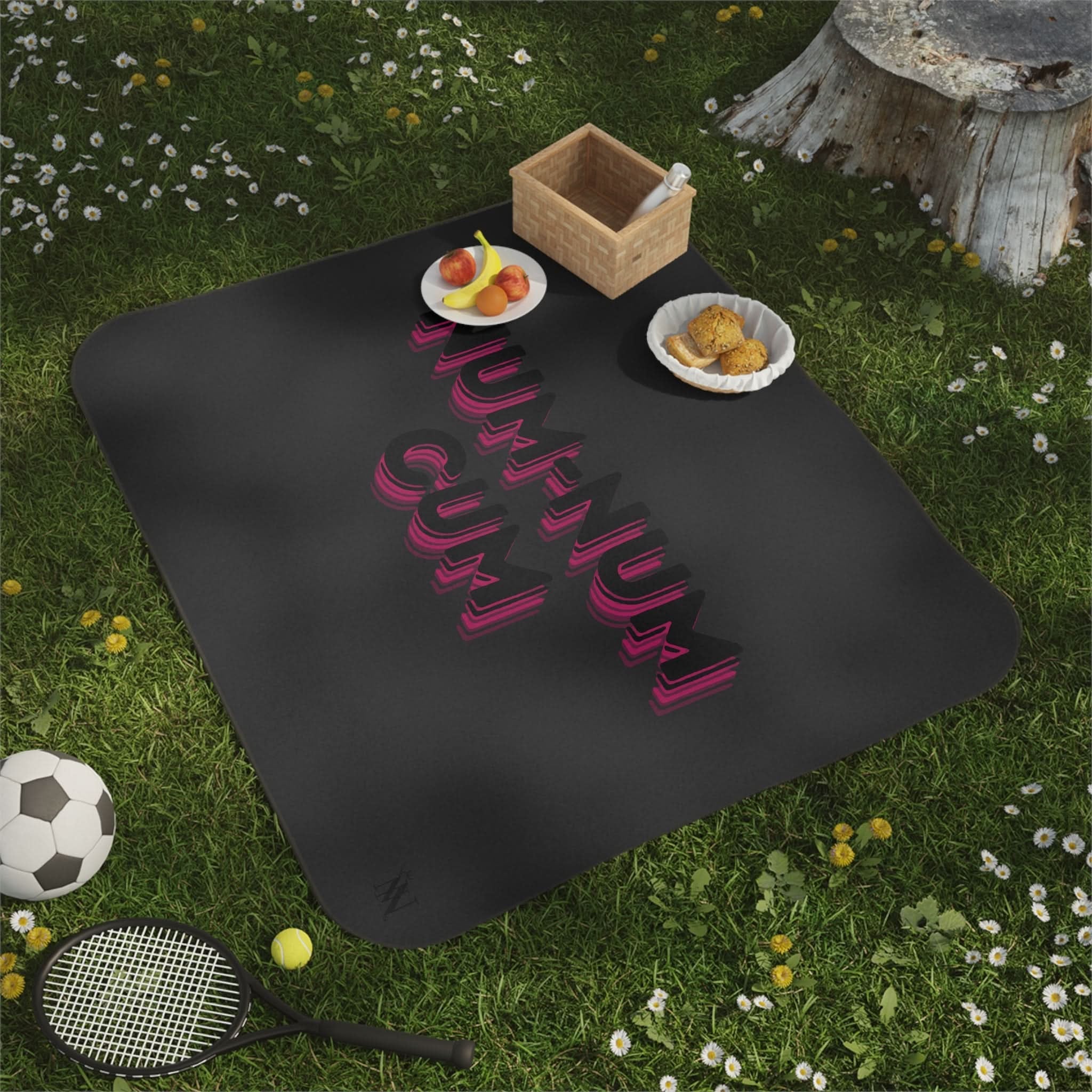 Num-Num Cum | Mix Match Fun-Flirty Lovers’ Water-Resistant Blankets