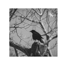 One Crow | Mix & Match Lils’ Fun-Flirty Lovers’ Towels