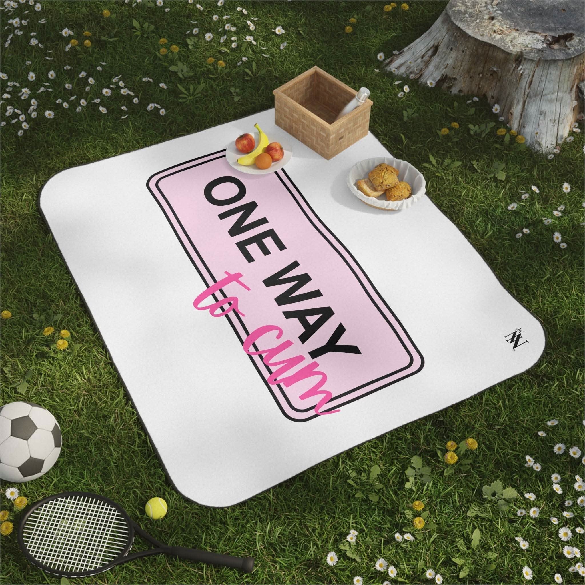 One Way to Cum | Mix Match Fun-Flirty Lovers’ Water-Resistant Blankets