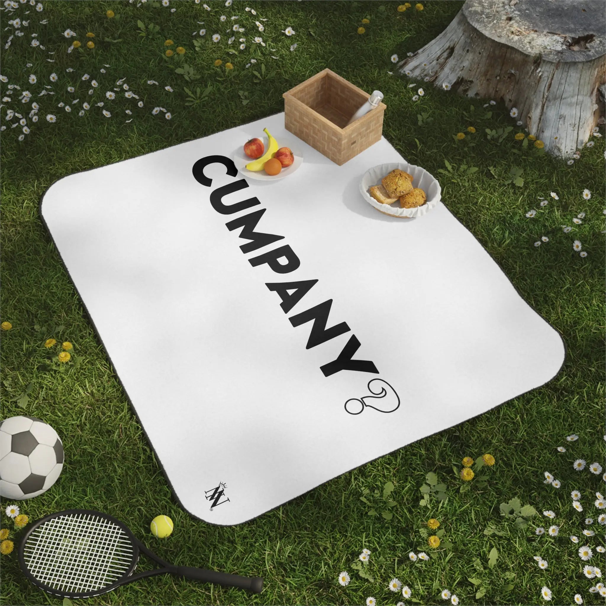 Simple Cumpany? | Mix Match Fun-Flirty Lovers’ Water-Resistant Blankets