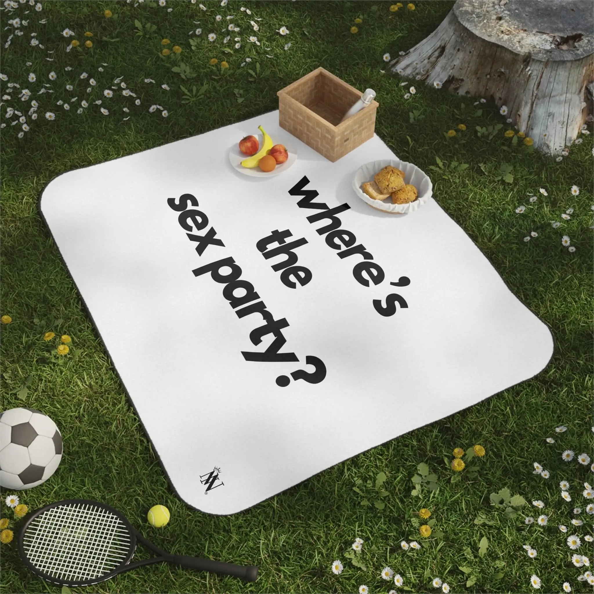 Where’s the Sex Party? | Mix Match Fun-Flirty Lovers’ Water-Resistant Blankets